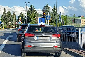 Egzamin na prawo jazdy będzie inny. Od 1 lipca nowe zasady-50858