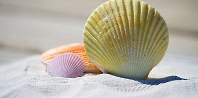 Siedlczanie zainteresowani wakacjami składkowymi-51338