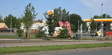 Siedlce: Beton ustępuje zieleni. Będą nowe parki kieszonkowe-51345