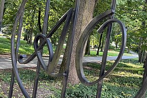 Groźny wypadek w parku. Czas na zakaz?-51638