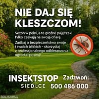 zdjecie ogloszenia