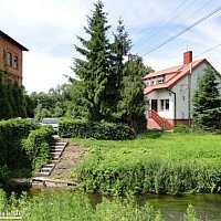 zdjecie ogloszenia