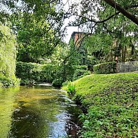 zdjecie ogloszenia