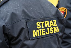 Zapuka strażnik, zapłacisz karę. Ruszyły kontrole w całej Polsce-52566