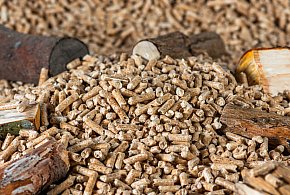 Drożeje popularny opał. Miliony Polaków dostaną po kieszeni tej zimy-52807