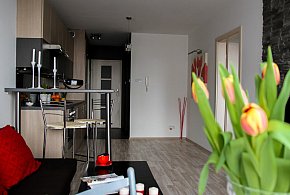 Rewolucja w wynajmie na doby. Nadchodzi koniec "wolnej amerykanki"-53375