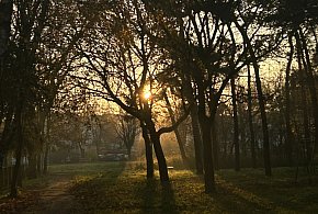 Nadchodzi najkrótszy dzień w 2025 roku. Sprawdź, kiedy przypadnie-53596