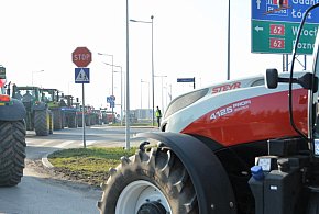 Rolnicy zapowiadają protest w całym kraju. Skala może zaskoczyć-53648