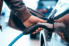 Coraz częściej dochodzi do takich kradzieży. Powody zaskakują-53977