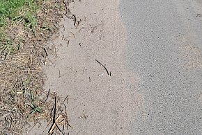 Zarastająca ścieżka rowerowa przy ul. Garwolińskiej. Mieszkańcy pytają....