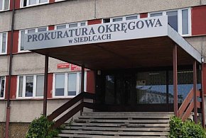 Gang sutenerów rozbity. Miliony zabezpieczone, pięć osób w areszcie