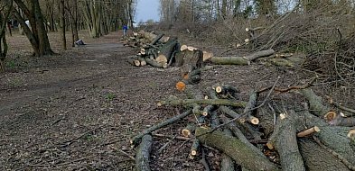 Rewitalizacja czy rzeź?