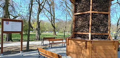 Siedlce: Jakaś nietęga ta tężnia