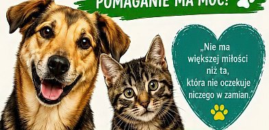 Siedlce: kobiety dla zwierzaków