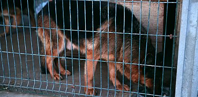 Doda nagłośniła – władze województwa zareagowały