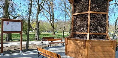 Siedlce: Jakaś nietęga ta tężnia