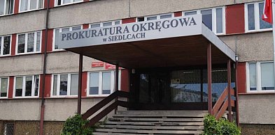 Gang sutenerów rozbity. Miliony zabezpieczone, pięć osób w areszcie