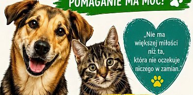 Siedlce: kobiety dla zwierzaków