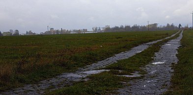 Hapunowicz: hala widowiskowo-sportowa w Siedlcach za 2-3 lata-52784