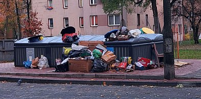 Siedlce: niezły bałagan ze śmieciami-53592