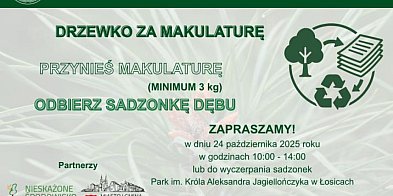 Łosice: Oddaj makulaturę i odbierz dąb-52515