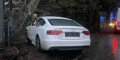 Audi wypadło z drogi. Trzej mężczyźni byli pijani-53665