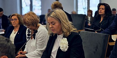 Radna: Zrezygnujmy z fajerwerków na sylwestrze-53686