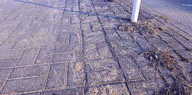 Siedlce: Co z tym zamiataniem chodników?