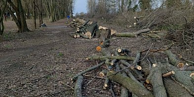 Rewitalizacja czy rzeź?