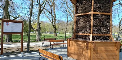 Siedlce: Jakaś nietęga ta tężnia