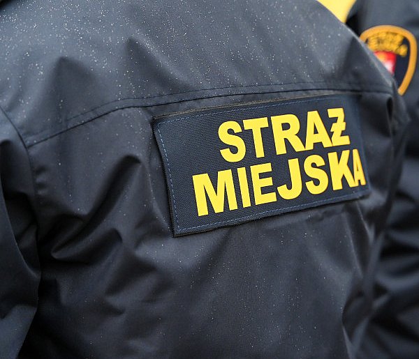 Zapuka strażnik, zapłacisz karę. Ruszyły kontrole w całej Polsce-52566