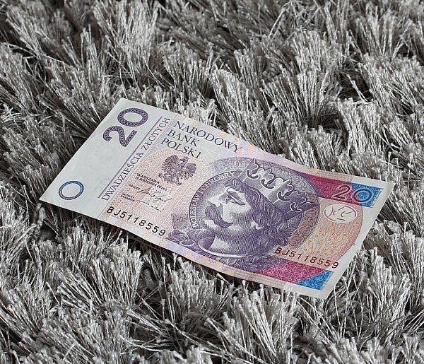 Nowy banknot o nominale 20 zł. Wchodzi do obiegu w tym tygodniu-52923