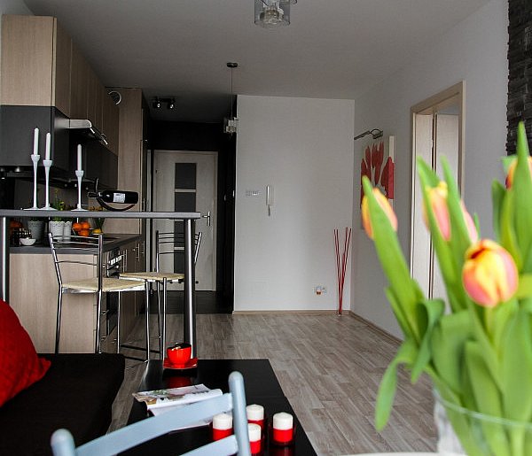 Rewolucja w wynajmie na doby. Nadchodzi koniec "wolnej amerykanki"-53375