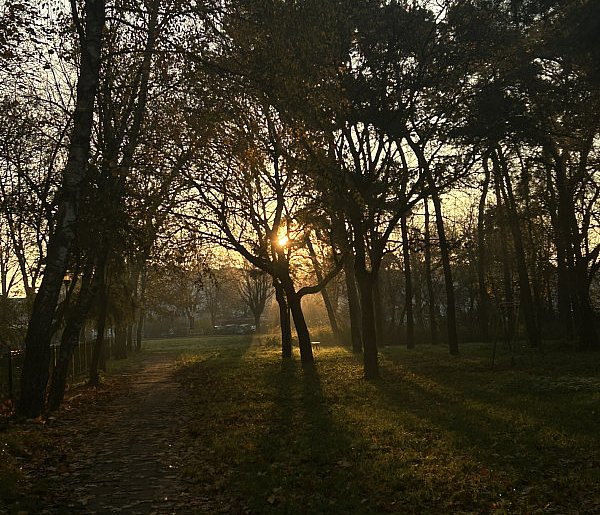 Nadchodzi najkrótszy dzień w 2025 roku. Sprawdź, kiedy przypadnie-53596