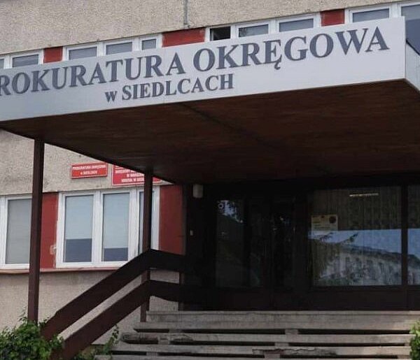 Gang sutenerów rozbity. Miliony zabezpieczone, pięć osób w areszcie
