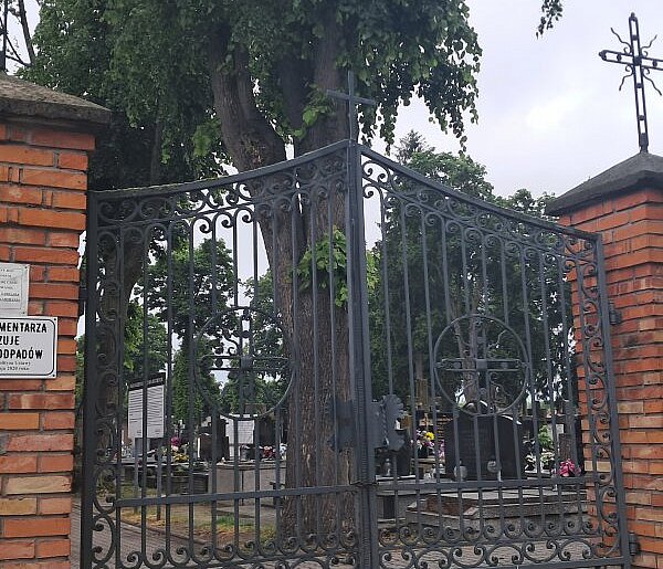 Mieszkańcy Siedlec odkrywają wyszukiwarkę grobów