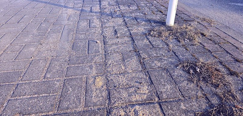 Siedlce: Co z tym zamiataniem chodników?