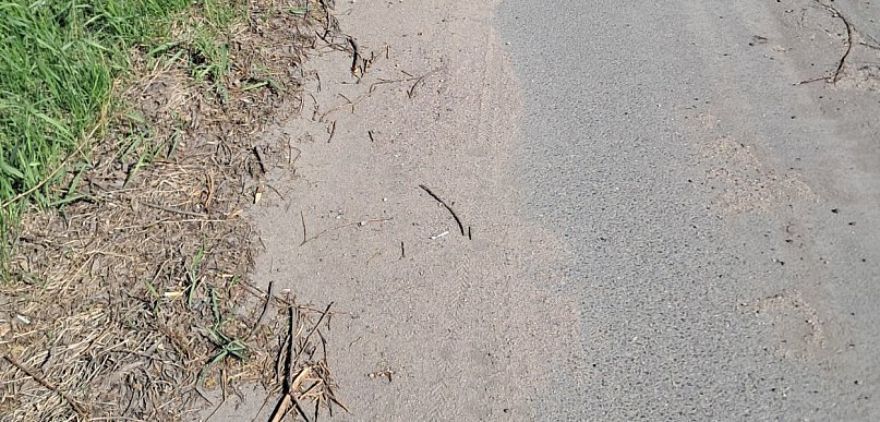 Zarastająca ścieżka rowerowa przy ul. Garwolińskiej. Mieszkańcy pytają....