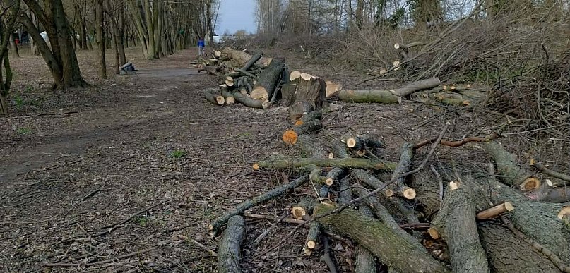 Rewitalizacja czy rzeź?