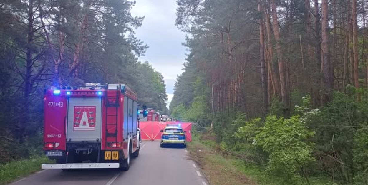 Dwie osoby zginęły po zderzeniu z łosiem. Tragiczny wypadek pod Stoczkiem Łukowski