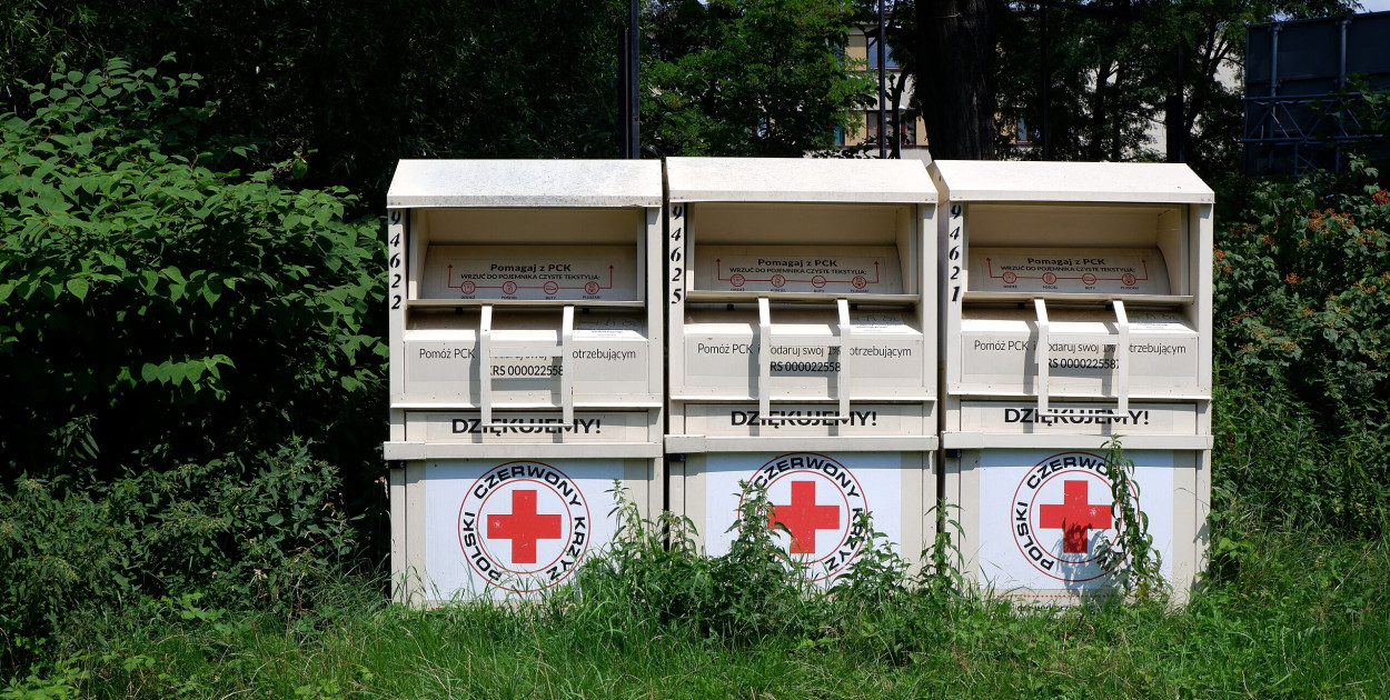 Fot. Kamil Czaiński, CC BY-SA 4.0, via Wikimedia Commons