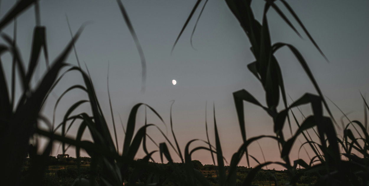 fot. Unsplash
