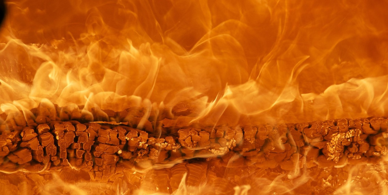 zdjęcie poglądowe Pixabay