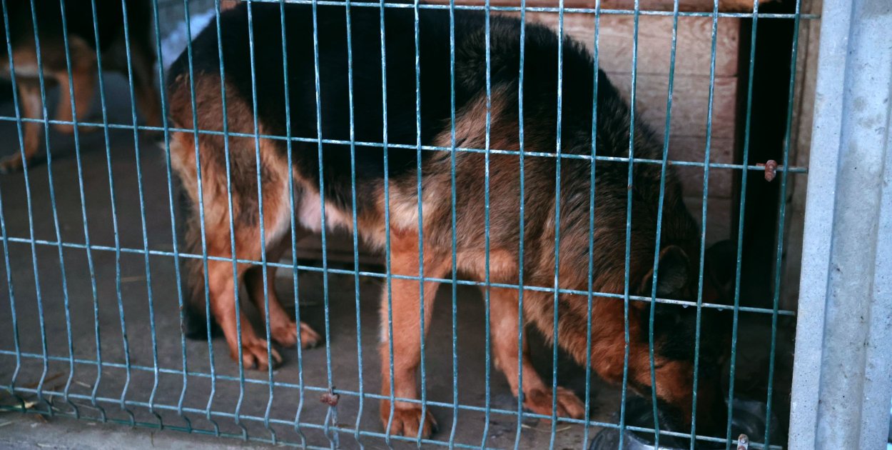 Doda nagłośniła – władze województwa zareagowały