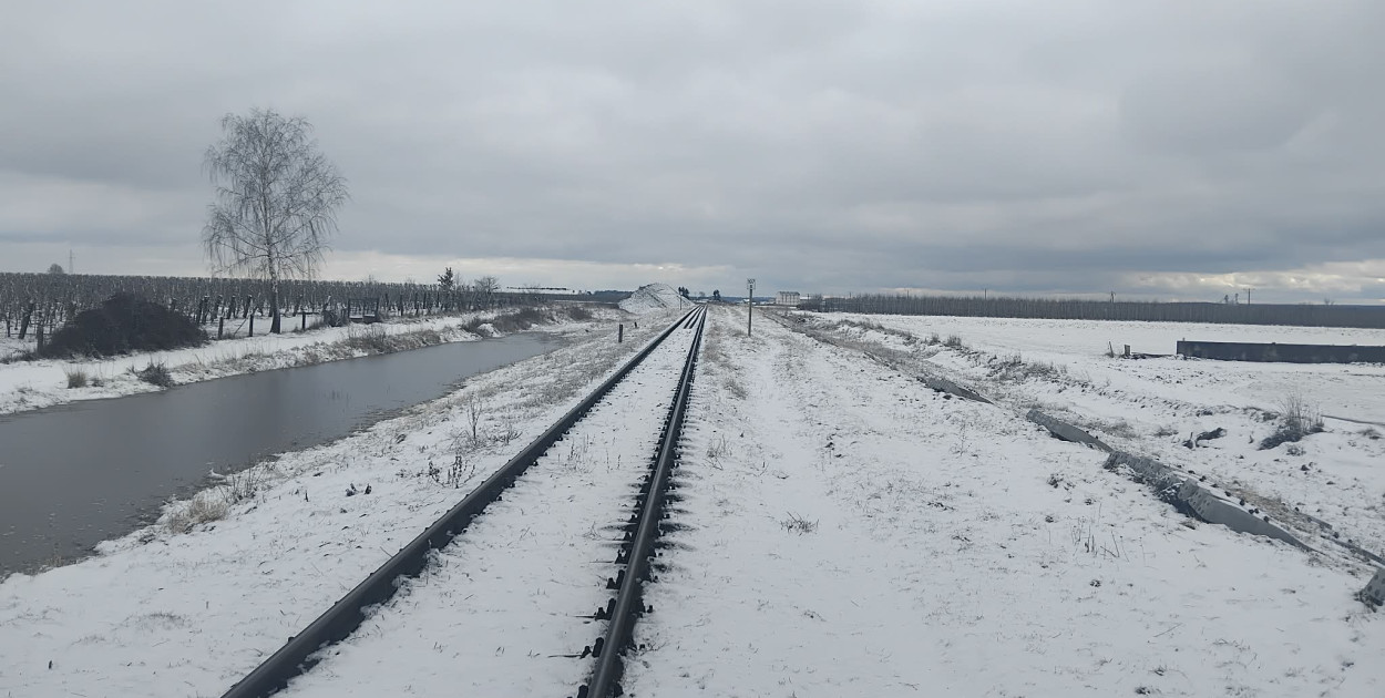 Kolej wróci do Suchożebr?