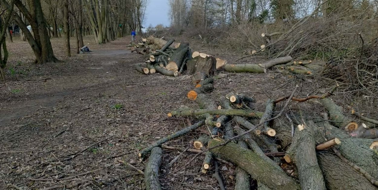 Rewitalizacja czy rzeź?